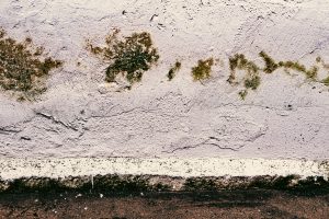 Flood damage prevention for home foundation in Vancouver WA