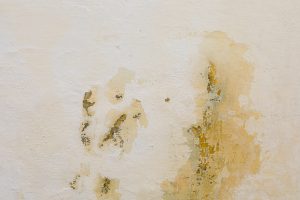 Health risks of DIY sewage cleanup compared to professional service in Portland OR