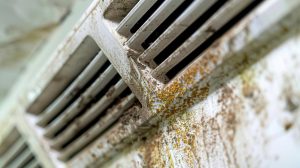 Water damage restoration cost guide for Vancouver WA homeowners