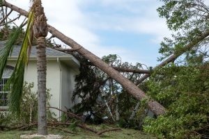 Fallen tree causing storm damage to Vancouver WA home requiring emergency restoration