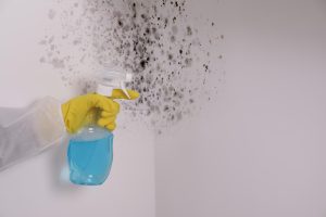 Spring moisture buildup leading to mold growth in Vancouver WA home