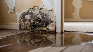 Summer humidity control to prevent mold and water damage in Vancouver WA