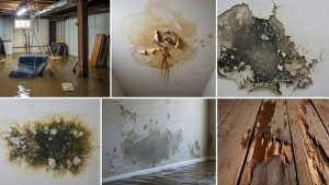 Summer sewage system inspection in Vancouver WA commercial property