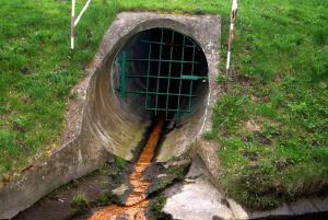 Professional sewage cleanup process in Vancouver WA property