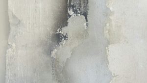 Step-by-step water damage restoration process in Vancouver WA by DryWorx