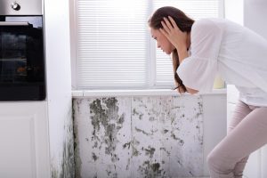 Types of water damage covered under professional restoration services in Vancouver WA