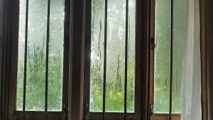 Storm protection for windows and doors in Vancouver WA home